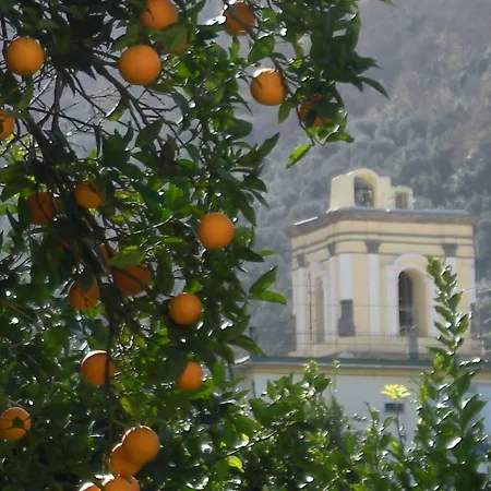 Casa De Angelis Orange & Blue *