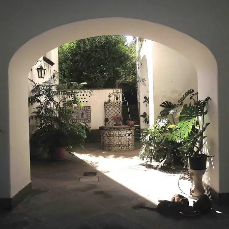 Casa De Angelis Orange & Blue *