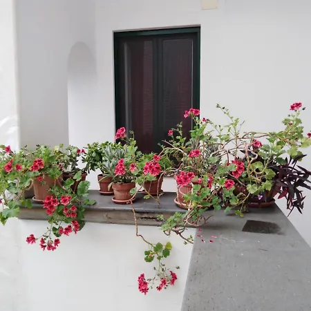 Appartement Casa De Angelis Orange & Blue *
